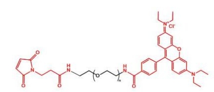 MAL-PEG-Rhodamine 罗丹明聚乙二醇马来酰亚胺