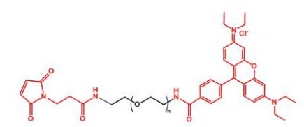 MAL-PEG-Rhodamine 罗丹明聚乙二醇马来酰亚胺 