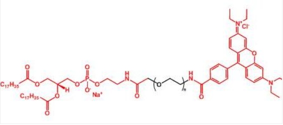 罗丹明聚乙二醇磷脂 Rhodamine-PEG-DSPE