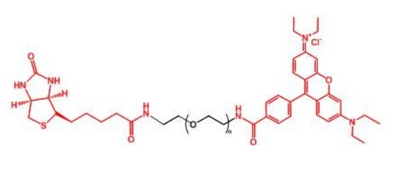 罗丹明聚乙二醇生物素 RB-PEG-BIOTIN