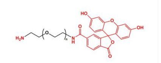 荧光素聚乙二醇氨基 FITC-PEG-NH2