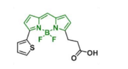 BDP 558/568 COOH，CAS 150173-72-1