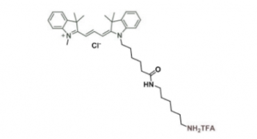 2247688-56-6 Cy3 amine(TFA) /Cy3 NH2(TFA) Cy3-氨基(TFA)