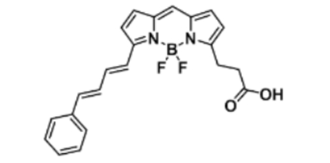 BODIPY 581/591 carboxylic acid
