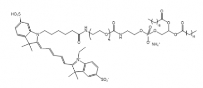  Cy5-PEG-DSPE Cy5-聚乙二醇-二硬脂酰基磷脂酰乙醇胺