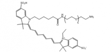 Cy7-PEG-NH2 Cy7-PEG-Amine  Cy7-聚乙二醇-胺