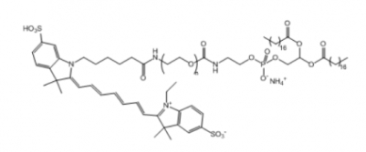 Cy7-PEG-DSPE  Cy7-聚乙二醇-二硬脂酰基磷脂酰乙醇胺