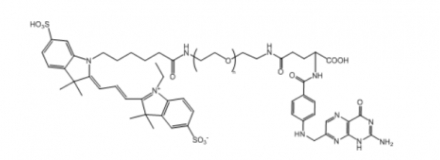 Cy3-PEG-Folate Cy3-PEG-FA Cy3-聚乙二醇-叶酸