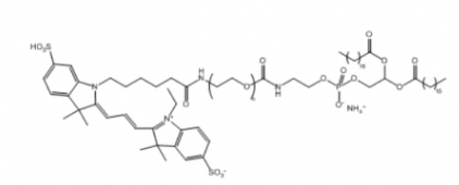 Cy3-PEG-DSPE Cy3-聚乙二醇-二硬脂酰基磷脂酰乙醇胺
