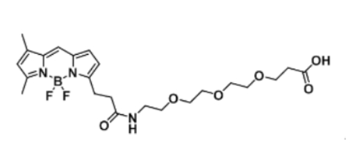 BODIPY FL-PEG3-COOH