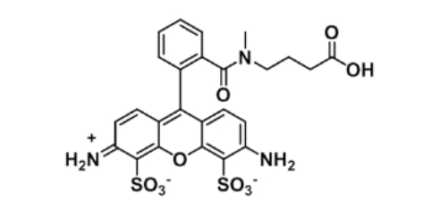 ATTO 488 acid;1443553-08-9