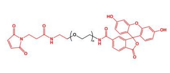荧光素聚乙二醇马来酰亚胺 FITC-PEG-MAL