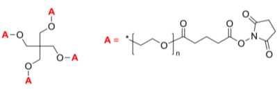 4-Arm PEG-SG 4臂星形-聚乙二醇-琥珀酰亚胺戊二酸酯