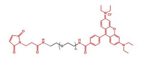 MAL-PEG-Rhodamine  罗丹明聚乙二醇马来酰亚胺