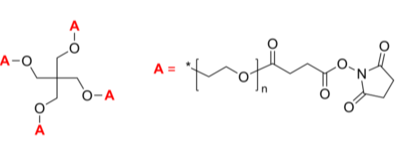4-Arm PEG-SS 4臂星形-聚乙二醇-琥珀酰亚胺琥珀酸酯