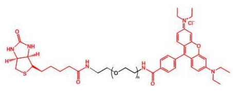 Rhodamine-PEG-BIOTIN RB-PEG-BIOTIN 生物素PEG羅丹明