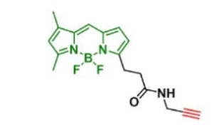 302795-84-2 BDP FL Alkyne  C17H18BF2N3O