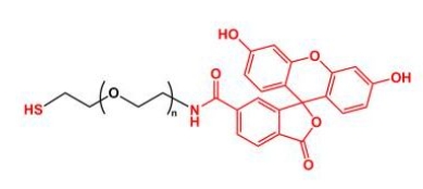  SH-PEG-FITC Thiol-PEG-FITC 荧光素聚乙二醇巯基