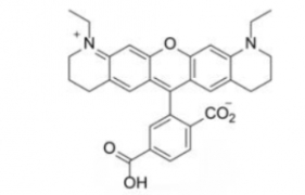 CAS 722538-90-1 ATTO 565 acid 分子式 C31H30N2O5