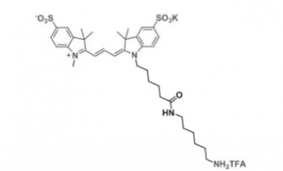 2183440-43-7 diSulfo-Cy3 amine 二磺酸基Cy3-胺