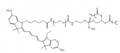 Cy5-PEG-DSPE Cy5-聚乙二醇-二硬脂酰基磷脂酰乙醇胺