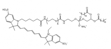 Cy7-PEG-DSPE Cy7-聚乙二醇-二硬脂酰基磷脂酰乙醇胺