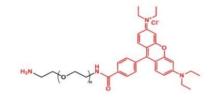NH2-PEG-Rhodamine RB-PEG-NH2 罗丹明聚乙二醇氨基