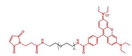  MAL-PEG-Rhodamine 罗丹明聚乙二醇马来酰亚胺