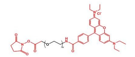 Rhodamine-PEG-NHS 罗丹明聚乙二醇活性酯
