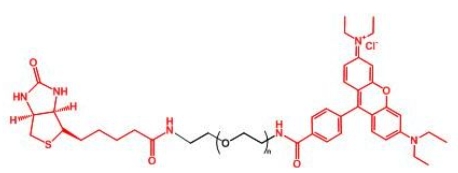 RB-PEG-BN Rhodamine-PEG-BIOTIN 生物素PEG罗丹明