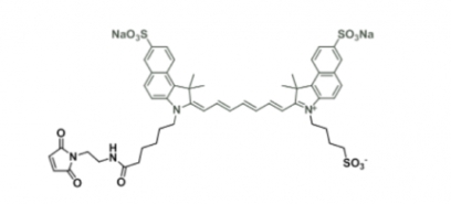 diSulfo-ICG Maleimide 水溶性吲哚菁绿-马来酰亚胺