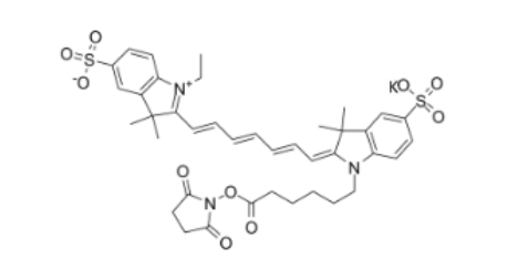 diSulfo-Cy7 NHS ester(Ethyl)，二磺酸基Cy7-活性酯(乙基)