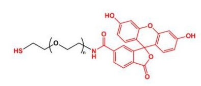 SH-PEG-FITC Thiol-PEG-FITC 荧光素聚乙二醇巯基