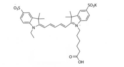 diSulfo-Cy5 carboxylic acid(Ethyl)，二磺酸基Cy5-羧基(乙基）