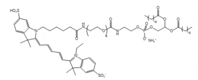 Cy5-PEG-DSPE Cy5-聚乙二醇-二硬脂酰基磷脂酰乙醇胺