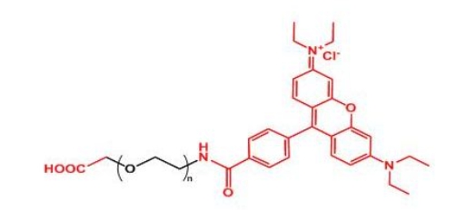 罗丹明聚乙二醇羧基 Rhodamine-PEG-COOH