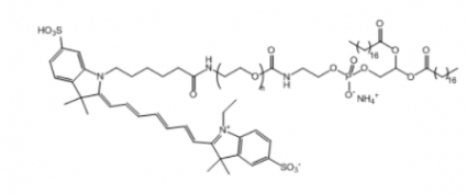 Cy7-PEG-DSPE  Cy7-聚乙二醇-二硬脂酰基磷脂酰乙醇胺
