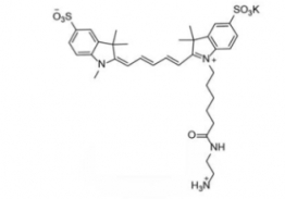 diSulfo-Cy5 Amine (Methyl) 二磺酸基Cy5-氨基