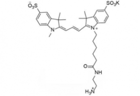 diSulfo-Cy3 C2 amine 磺酸基Cy3-C2-氨基