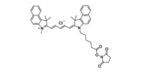 Cyanine5.5 NHS Ester，脂性Cy5.5 活性酯