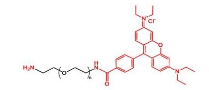  NH2-PEG-Rhodamine RB-PEG-NH2 罗丹明聚乙二醇氨基