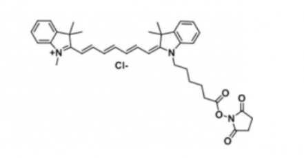 Cy7 NHS(Methyl)，脂性Cy7 活性酯