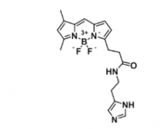 CAS 212495-58-4 BDP FL 组胺 氟化-硼二吡咯 组胺