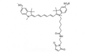 diSulfo-Cy7 Maleimide(Methyl) 二磺酸基Cy7-马来酰亚胺(甲基)