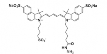 triSulfo-Cy5.5 hydrazide 三磺酸基Cy5.5 酰肼 C43H48N4Na2O10S3