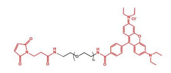 罗丹明聚乙二醇马来酰亚胺 Rhodamine-PEG-MAL