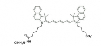 ICG Hydrazide/ICG-Hydrazide 吲哚菁绿-酰肼