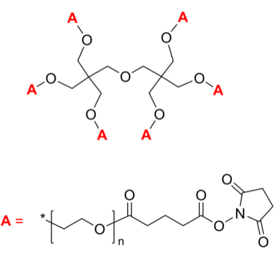 6-Arm PEG-SG 6臂星形-聚乙二醇-琥珀酰亚胺戊二酸酯 Poly(ethylene oxide), (succinimidyl glutarate)-terminated 6-arm