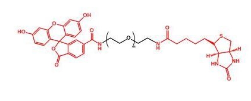 荧光素聚乙二醇生物素 FITC-PEG-Biotin