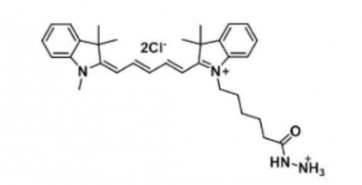 1427705-31-4 Cyanine5 hydrazide 脂性Cy5-酰肼